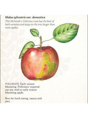 Apple Empire Semi-dwarf