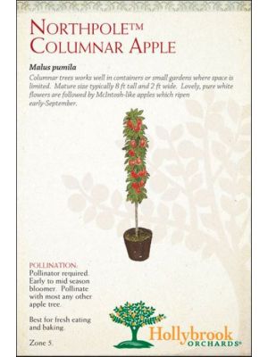 Apple Northpole Colonnade