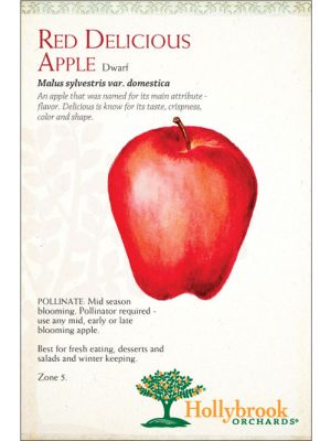 Apple Red Delicious Semi-dwarf