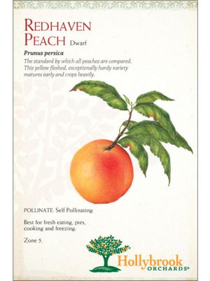 Peach Redhaven Dwarf