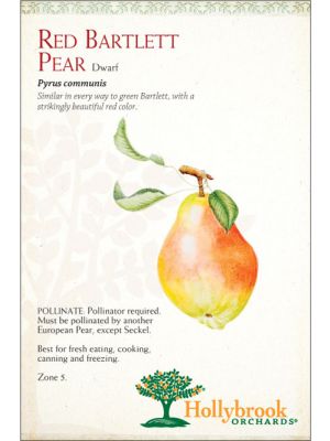 Pear Red Bartlett European Dwarf
