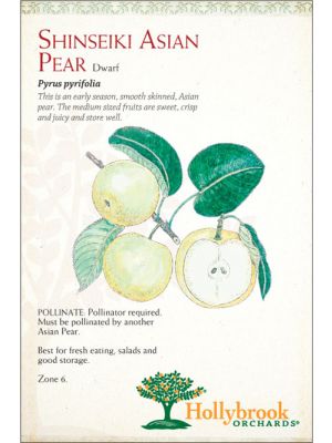 Pear Shinseiki Asian