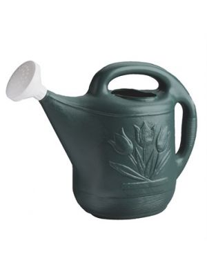 2 Gallon Watering Can