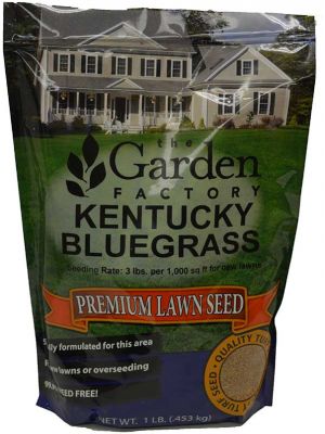 Kentucky Blue Grass 10LB