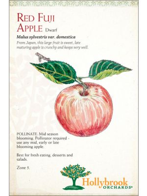 Apple Red Fuji Semi-dwarf