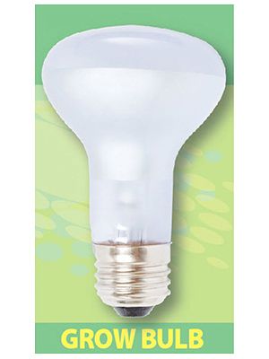 Agrosun 60 Watt Replacement Bulb