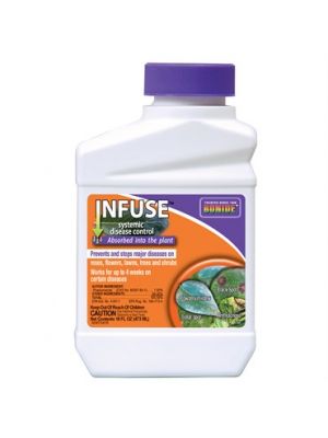 Bonide INFUSE Systemic Disease Control 16 OZ Concentrate