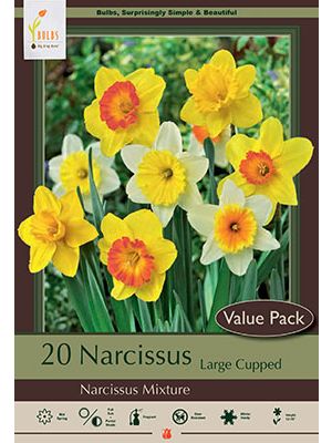 Narcissus Mix 16PK