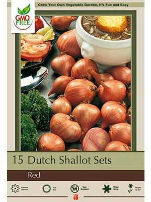 Red Shallots 15PK