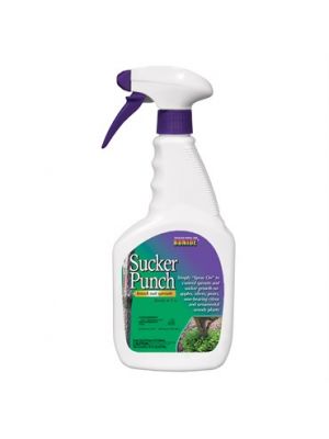 Bonide Sucker Punch 16 OZ. RTU