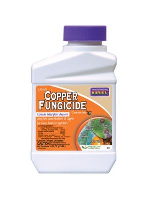 Bonide Copper Octanoate Fungicide 16 OZ. Concentrate