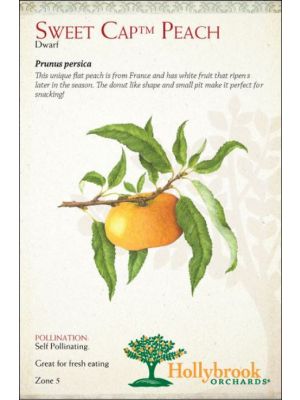 Peach Sweet Cap Dwarf