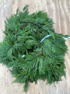 Western Cedar Garland 15 FT