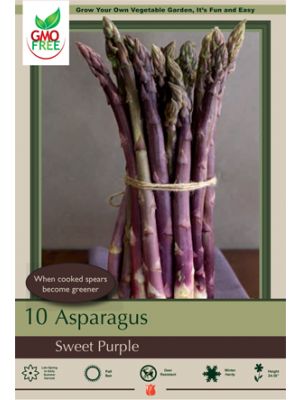 Asparagus Sweet Purple 10pk