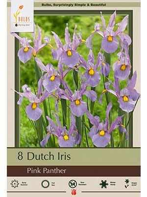 Iris Pink Panther 10PK