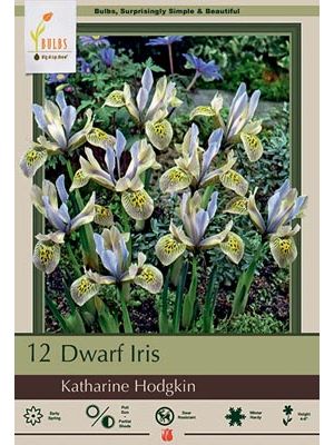Iris Katharine Hodgkins 10PK