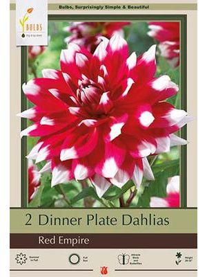 Dahlia Dinner Plate Red Empire  2PK