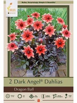 Dahlia Dark Angel Dragon Ball 2PK