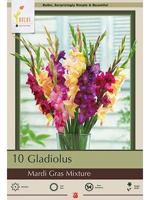 Gladiolus Mardi Gras Mixture 10PK