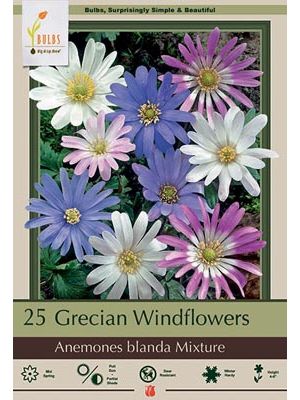 Anemone Blanda Mixture 20PK