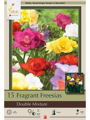 Freesia Double Mixture 15PK
