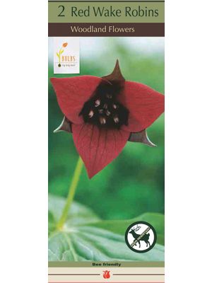 Trillium Erectum Red 2PK