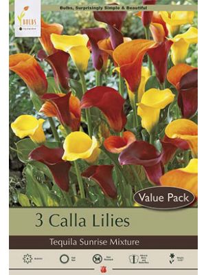 Calla Tequila Sunrise Mixture 3PK