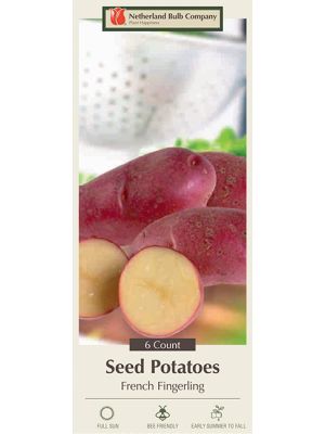 Potato French Fingerling 6PK