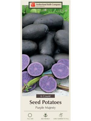 Potato Purple Majesty  6PK