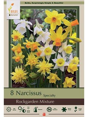 Narcissus Rockgarden Mix 7PK
