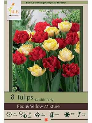 Tulip Red & Yellow Mix 7PK