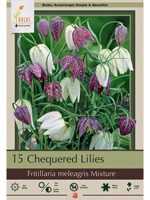 Fritilaria Chequered Lily 15PK