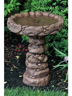 Bird Bath Reflections 1PC