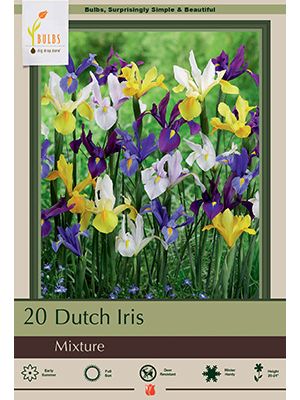 Iris Dutch Mix 20 PK