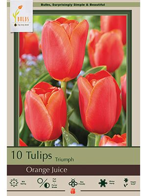 Tulip Orange Juice 7PK
