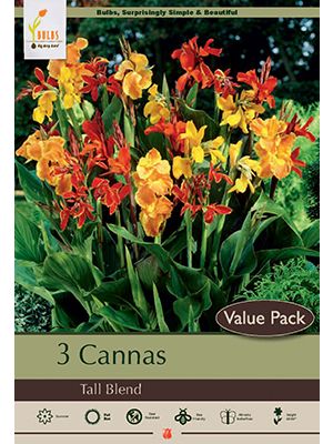 Canna Lily Tall Blend 3PK