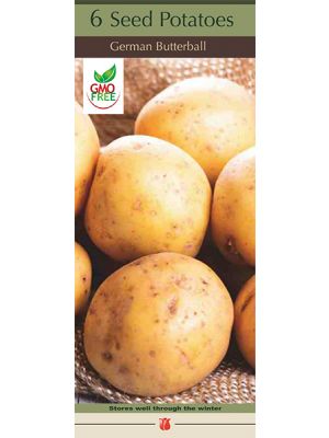 Potato German Butterball 6PK