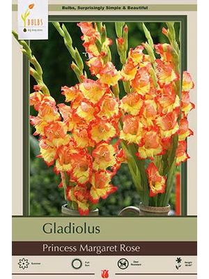 Gladiolus Princess Margaret Rose 10PK