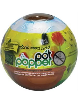Enviro Pot Popper Organic Gnat Control