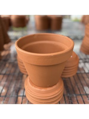 Clay Pot STD 6