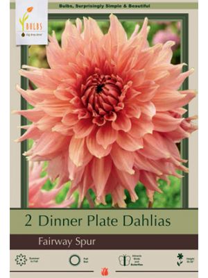 Dahlia DP Fairway Spur 2PK