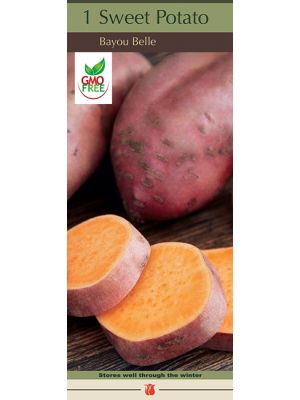 Sweet Potato Bayou Belle 1PK