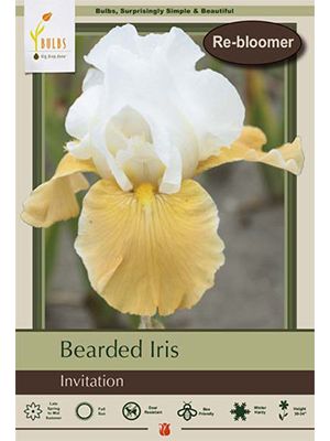 Iris Bearded Invitation