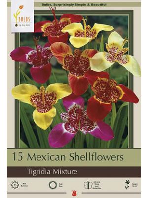 Tigridia Pavonia Mixture 15PK