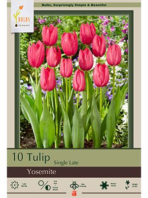 Tulip Yosemite 7PK