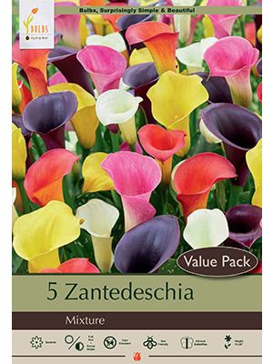 Calla Lily Mix 5PK