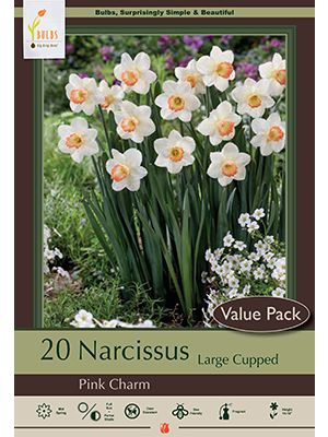 Narcissus Pink Charm 16PK