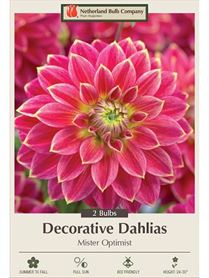 Dahlia Deco Mister Optimist 2PK