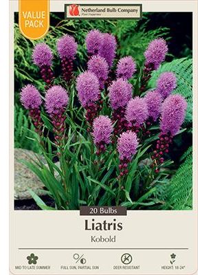 Liatris Kobold 20PK