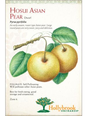 Pear Hosui Asian Dwarf